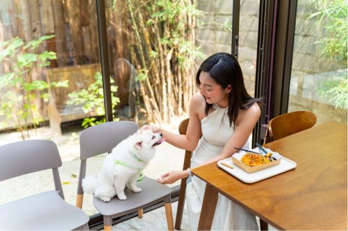 寵物友善場所評價計劃