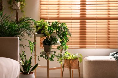 香港IEHQ室内空气质量管理计划