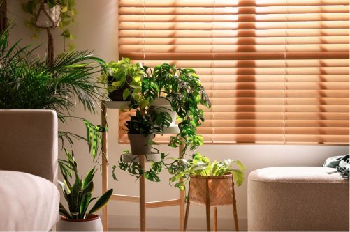 香港IEHQ室内空气质量管理计划