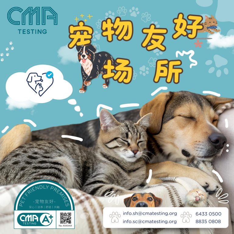 宠物可否进入餐厅？宠物友好专业标准将会是关键？